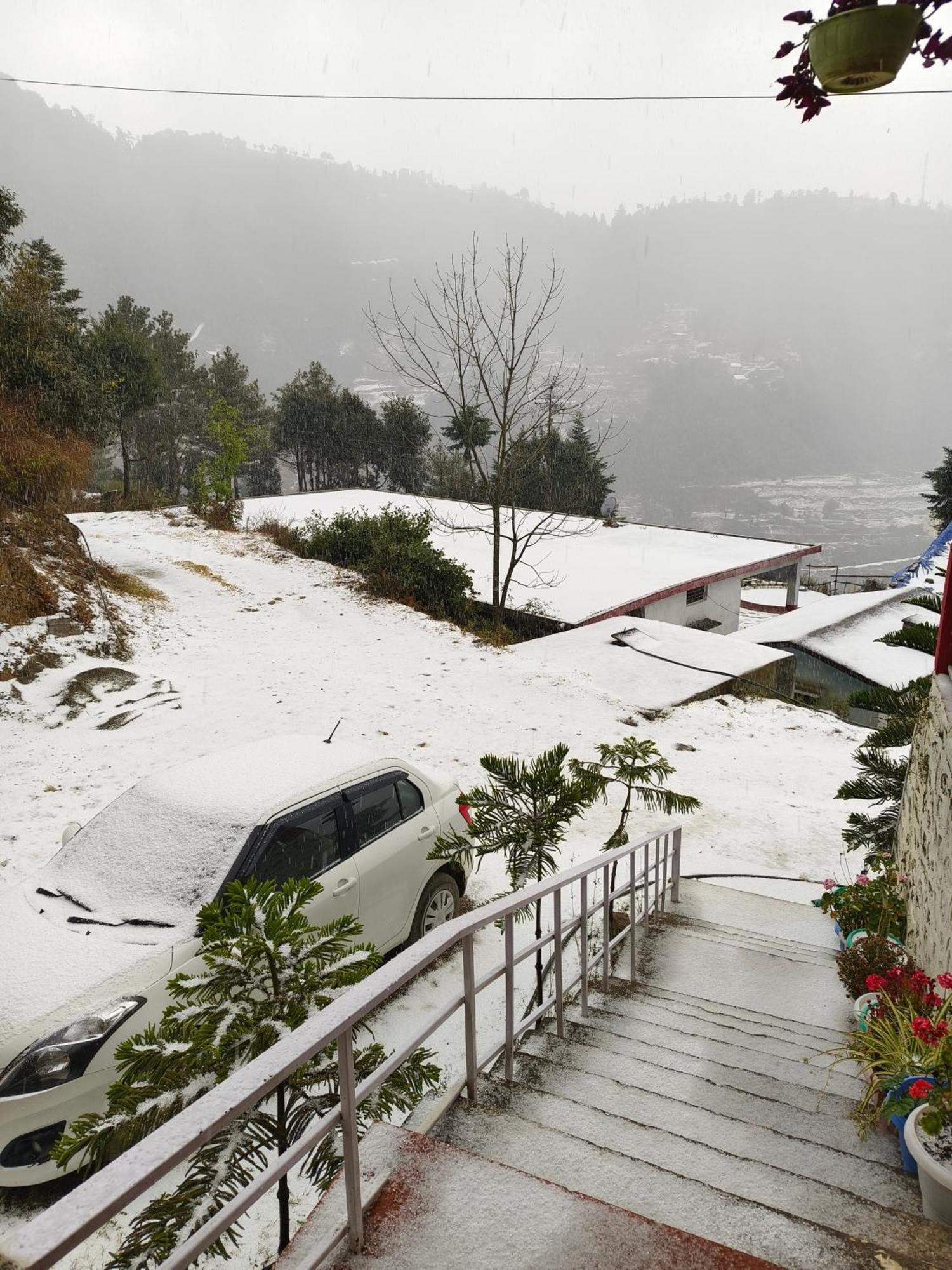 Naina Bird Cottage Nainital Exteriör bild
