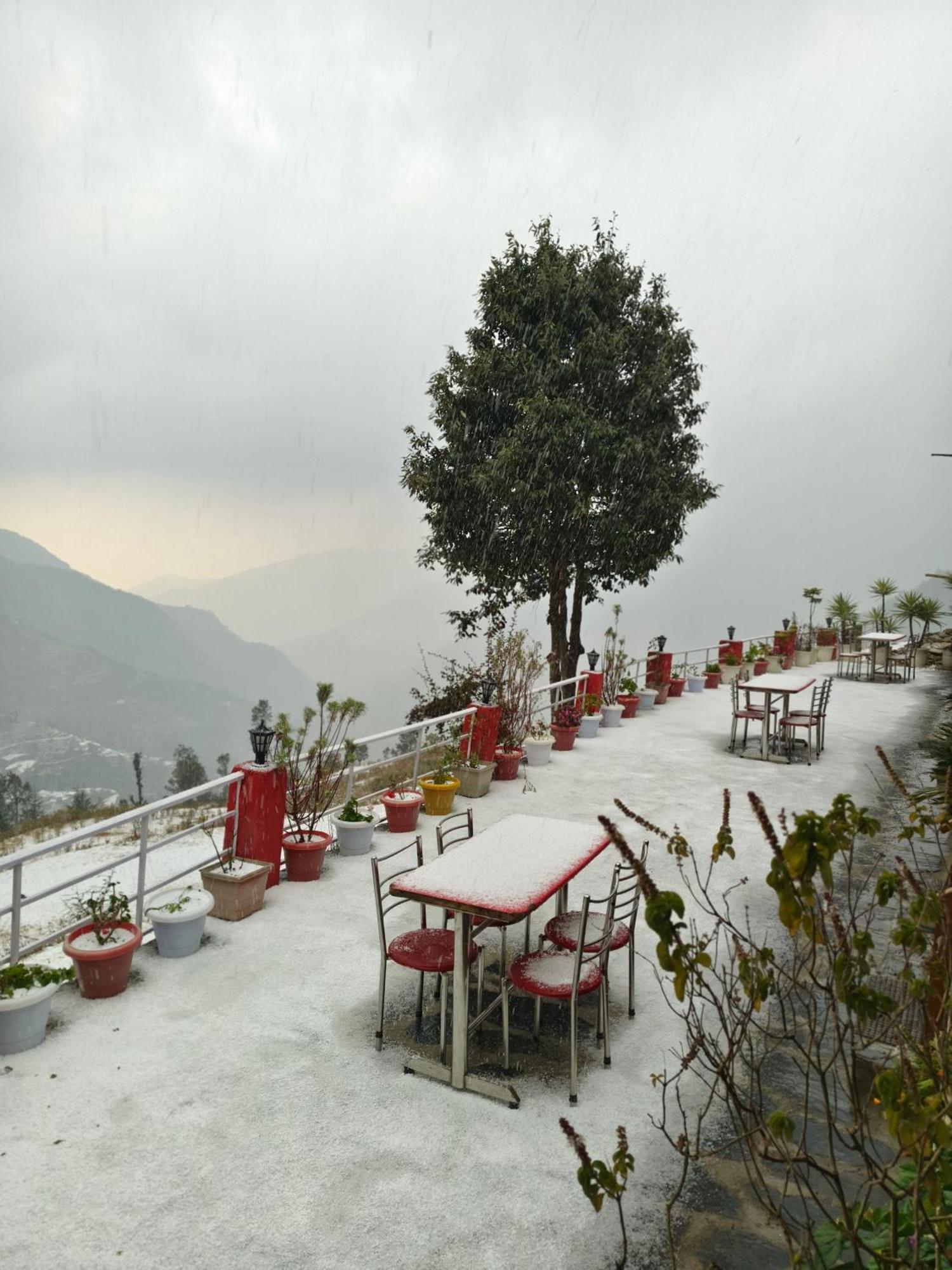 Naina Bird Cottage Nainital Exteriör bild