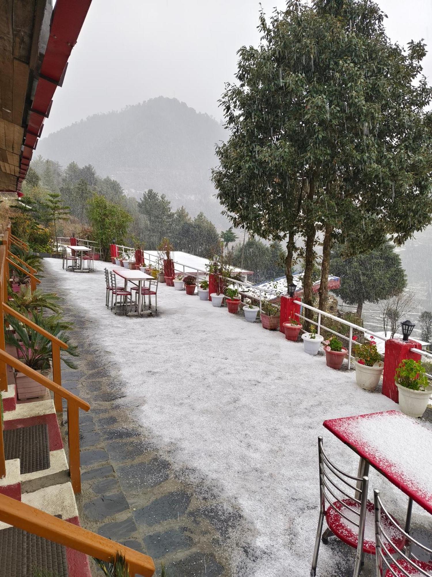 Naina Bird Cottage Nainital Exteriör bild